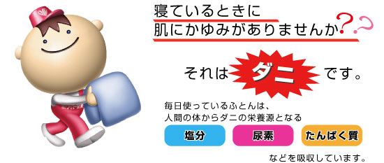 毎日使っているふとんは、人間の体からダニの栄養素となる、塩分・尿素・たんぱく質などを吸収しています。